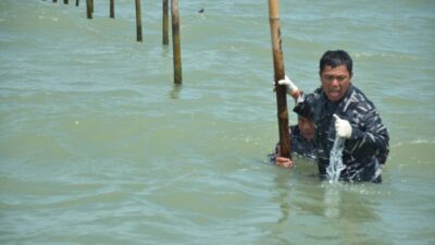 Sekitar 23 kilometer Pagar Laut Ilegal Tangerang Sudah Dibongkar TNI AL