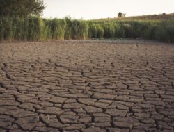 Warga RI Bersiap Hadapi Musim Kemarau, Ini Prediksi dari BMKG