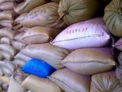 Indonesia Siap Tanpa Impor Beras Berkat Koperasi Desa Merah Putih