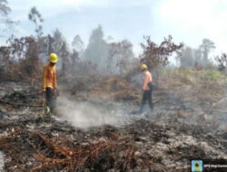 BNPB Catat Karhutla Meluas di Tiga Provinsi dan Gempa Halmahera Barat, Masyarakat Diimbau Tetap Waspada