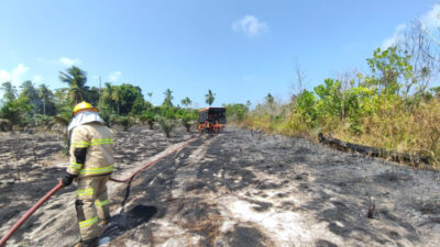 BNPB: Karhutla Meluas di Tiga Provinsi, Gempa Poso dan Aktivitas Gunung Lewotobi Meningkat Akhir Juli 2025