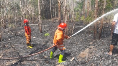 Banjir Medan, Tebing Tinggi, Batubara! Laporan Bencana BNPB