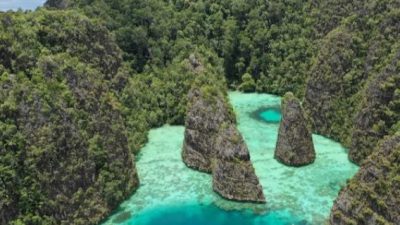 Standar Ganda NGO Jenewa? Bappenas Tepis Tudingan Miring Isu HAM Papua di Internasional