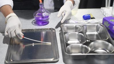 Program Makan Bergizi Gratis Jangkau 36,7 Juta Penerima, Kepala BGN Soroti Dampak Ekonomi dan Lapangan Kerja