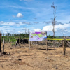 Kemenhut Kuasai 2.390 Ha Hutan Lanskap Seblat dari Perambah, Sasar Pemodal Besar