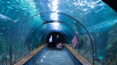 Rogfast Norwegia: Terowongan Bawah Laut Terpanjang dan Terdalam di Dunia