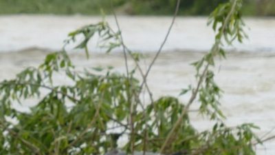 Respons Cepat Presiden: Empat Pesawat Militer Kirim Bantuan Darurat ke Sumbar, Aceh, dan Sumut