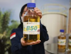 Hilirisasi Komoditas Crude Palm Oil Mampu Serap Dua Juta Lebih Tenaga Kerja Lokal